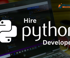 Hire Python Developers and Build Scalable Solutions in Less Time