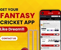 Custom Fantasy Cricket App Development