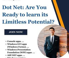 Dot Net: Are You Ready to learn its Limitless Potential?
