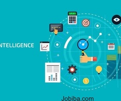 Business Intelligence Development Company in the USA