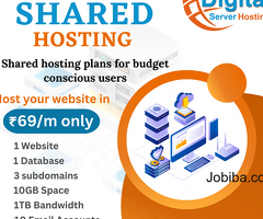 Dserver - Offering the Best & Cheap Web Hosting in India