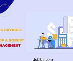 Streamlining Payroll Processes: The Power of a Robust Payroll Management System