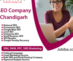 Step into the Future of Best SEO Company in Chandigarh with Ink Web Solution's