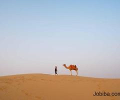 Jaisalmer Tour Packages | Meotrips