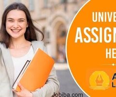 University assignment help at most affordable prices