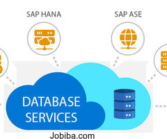 Optimize Your Data: Professional Database Management Services!