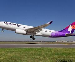 How to add infant on Hawaiian Airlines booking