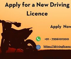 Apply for a New Driving Licence