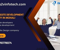 S2V Infotech Best Website Design Company in Mohali