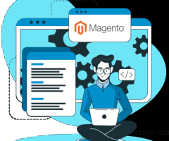 best Magento website development company