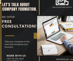 BUSINESS FORMATION AND LICENSES. FREE CONSULTATION NOW!