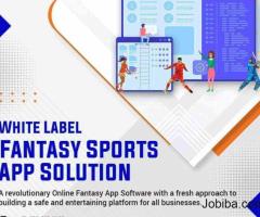 White level fantasy sports app development