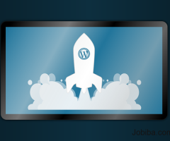 Wordpress Website Design Company Noida