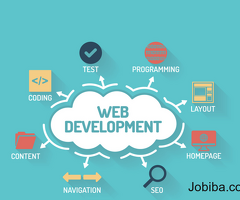 Best Web Development Agency & Company in California | Bluzoo Web