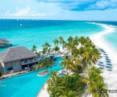 Top Luxury Resort Baa Atoll in Maldives - Reethi Beach Resort