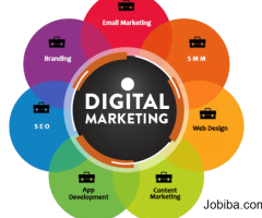 Best Digital Marketing Company in Noida - Vindhya Process Solutions