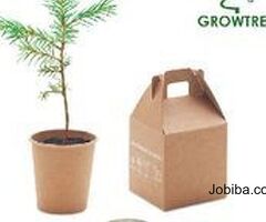 Grow a spruce set GROWTREE