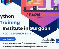 Sdk provide python programming language with 100% placement assistance