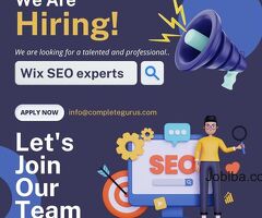 What is the cost of hiring a Wix SEO professional?