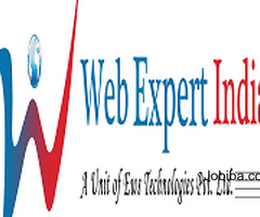 Elevate Your Brand with Professional Web Designing Company in Delhi