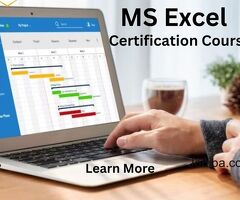 MS Excel Certification Course