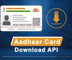 Softpay Aadhaar Card Download API Company
