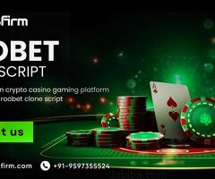 Turnkey Solution: Roobet Clone Script for Crypto Casino Entrepreneurs