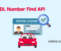 Get Driving License Find API Service Online