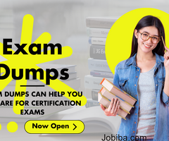 Mastering Exams 2.0: The Exam Dumps Advantage