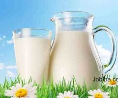 Nourish Naturally: Pure Gir Cow Milk - Order Yours Today