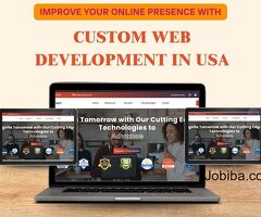 Top Web development Company in USA | Avvinya