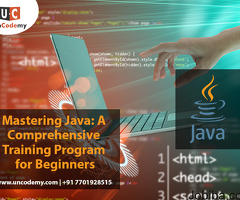 Mastering Java: A Comprehensive Training Program for Beginners