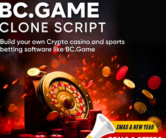 Revolutionize Your Gaming Experience with Our Advanced BC.Game Clone Script