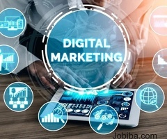 Best Digital Marketing Company in Delhi | Digital Agency in Delhi