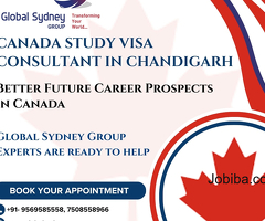 Canada Study visa consultant in Chandigarh