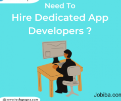 Hire Dedicated Developers | App Coders For Hire