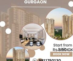 Why Whiteland Sector 103 Gurgaon is the Perfect Place to Call Home