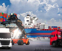 Professional Import And Export Services in Delhi