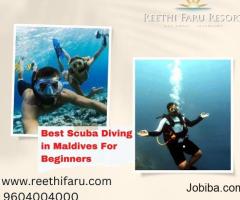 Best Scuba Diving in Maldives For Beginners | Reethi faru