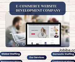 Understand The E-Commerce Website Development Industry Better