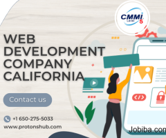 Web Development Company California | Hire Web Developer - Protonshub
