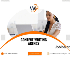 Professional Content Writing Agency
