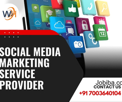 Best Social Media Marketing Service Provider