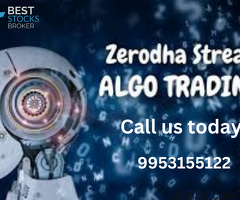Zerodha Algo Trading Where Strategy Meets Success