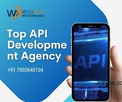 Top API Development Agency Call +91 7003640104