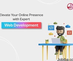 Web Development Services in India