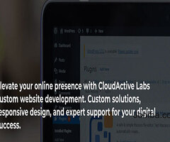 Custom Website Development at Cloudactivelabs