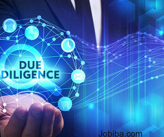 Due Diligence Services