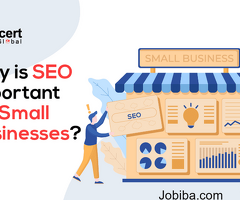 Why is SEO important for Small Businesses | Educert Global