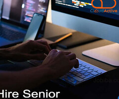 Hire Senior Developers Service From CloudActive Labs